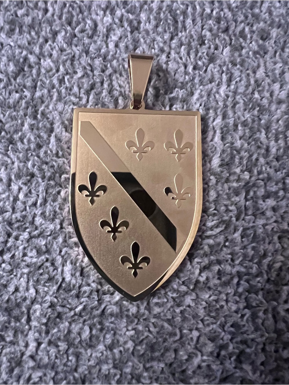Bosnian stainless steel pendant Grb